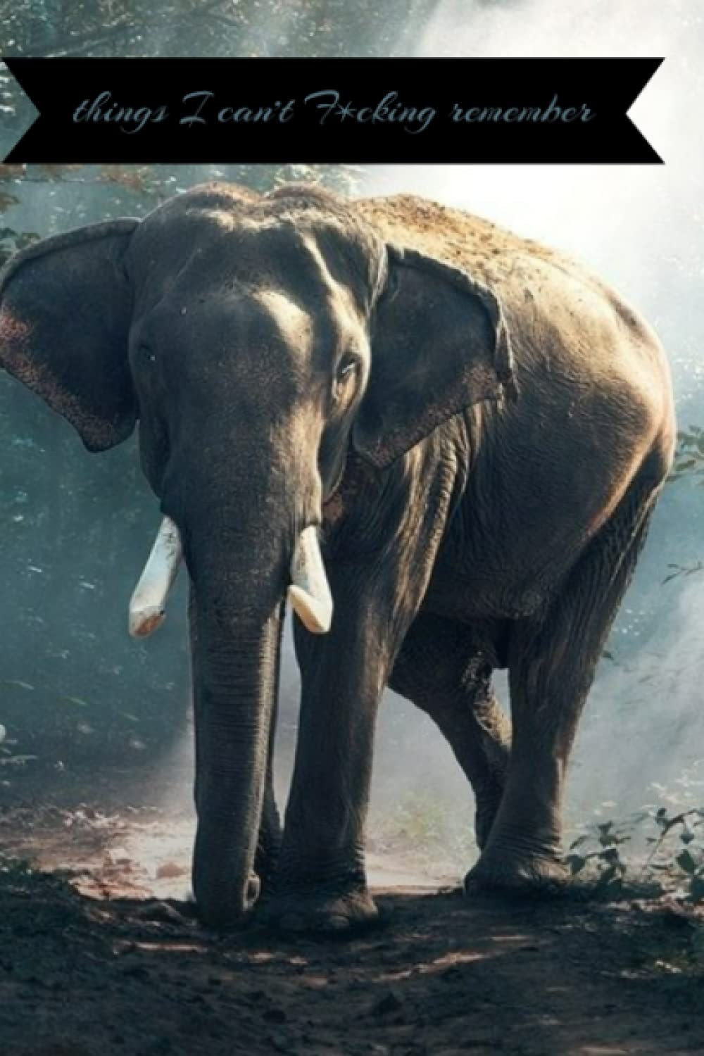 things i can't F*ing remember