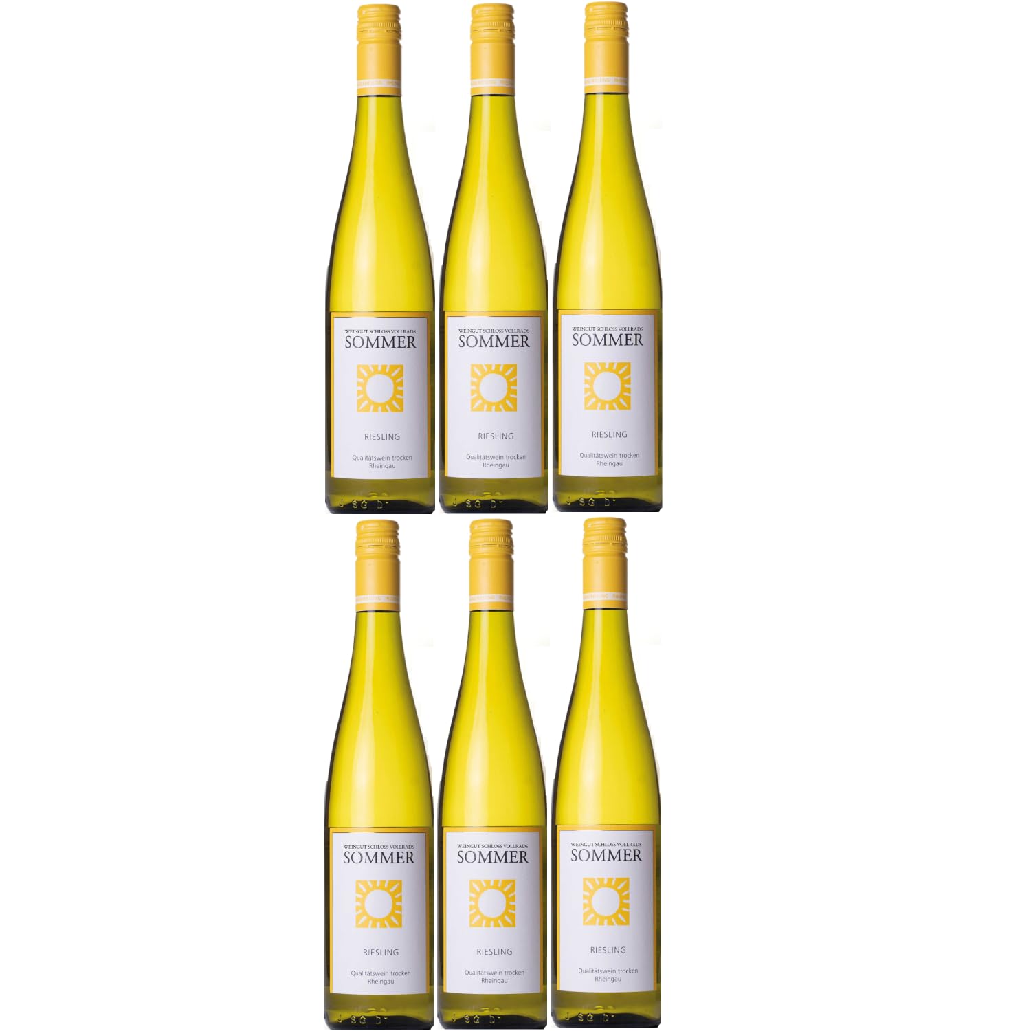Schloss Vollrads Sommer trocken Weißwein Bio Deutschland Riesling inkl. FeinWert E-Book (6 x 0,75l)
