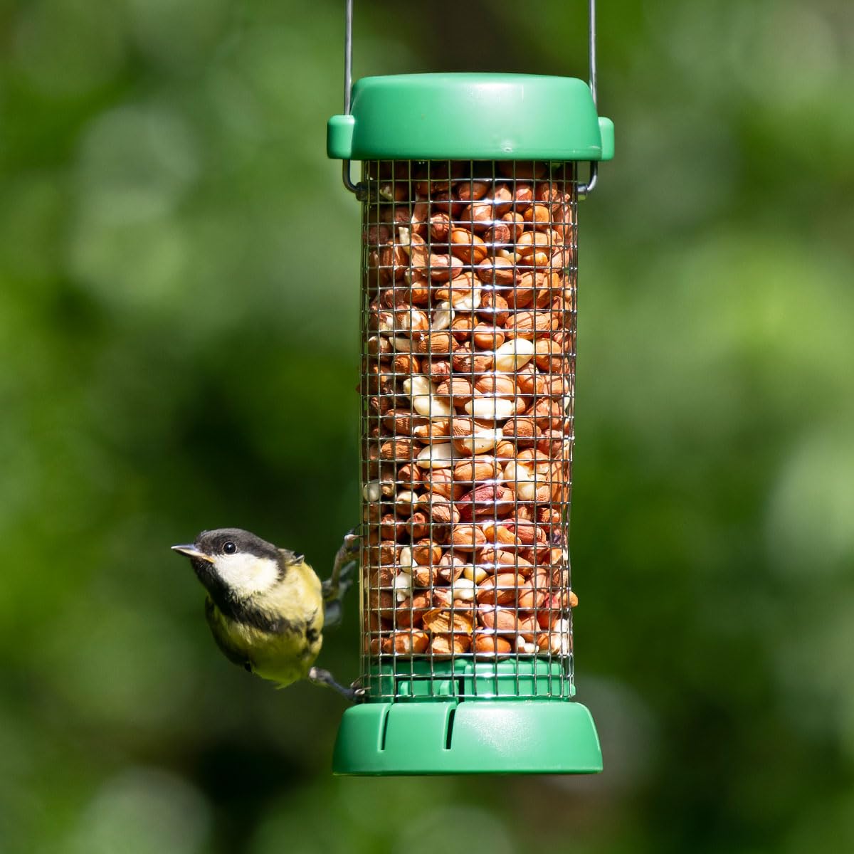 Bird Lovers™ Mangiatoia per Uccelli Di Piccola Taglia