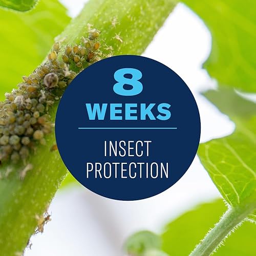 Miniatura 4 de BioAdvanced 701710 8-11-5 Fertilizante con alimento vegetal Imidacloprid Plus Púas de control de insectos 10