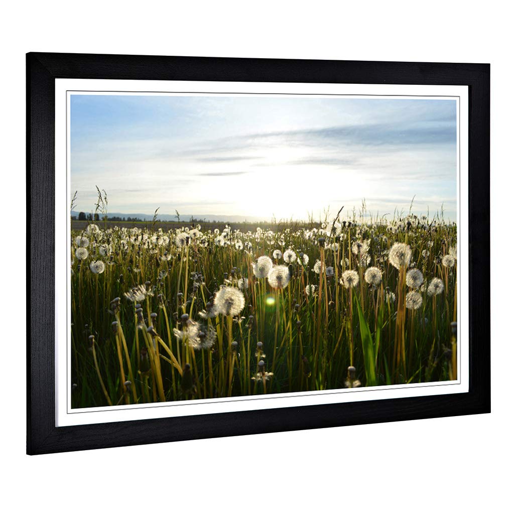 Big Box Art Framed Print of Flower Dandelion Meadow Design | Wall Art Picture | Home Decor for Kitchen, Living, Dining Room, Bedroom, Hallway, Office, Black, A2 / 24.5x18 Inch / 62x45cm
