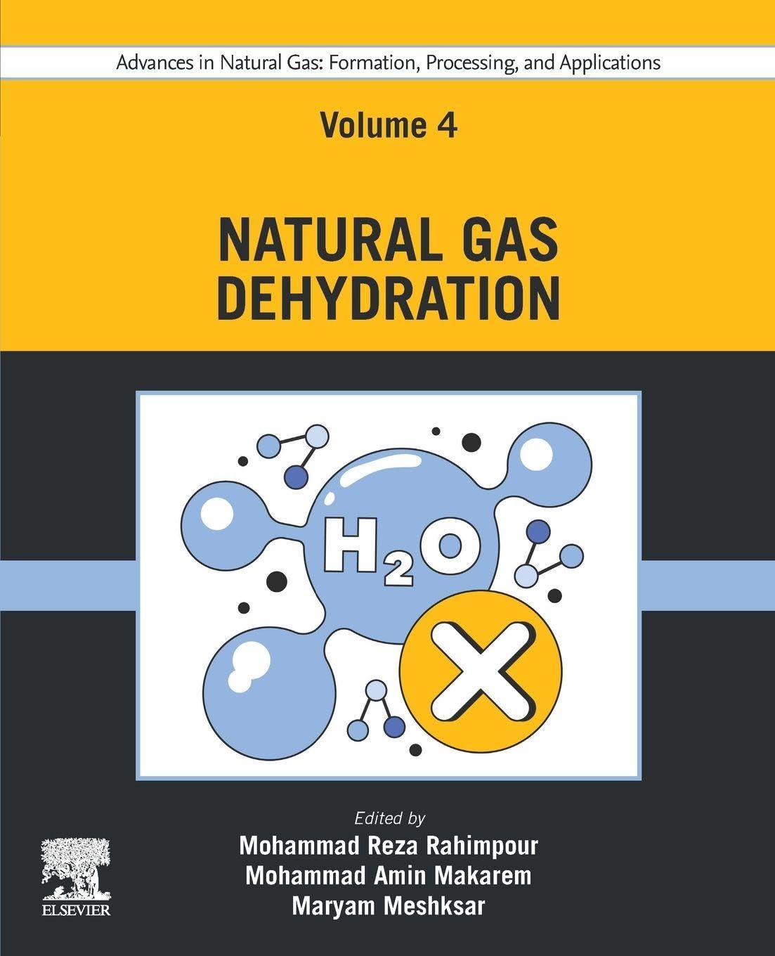 Buy Advances in Natural Gas: Formation, Processing, and Applications. Volume 4: Natural Gas Dehydration: Formation, Processing, and Applications; Natural ... Formation, Processing and Applications, 4) — BookShops.in