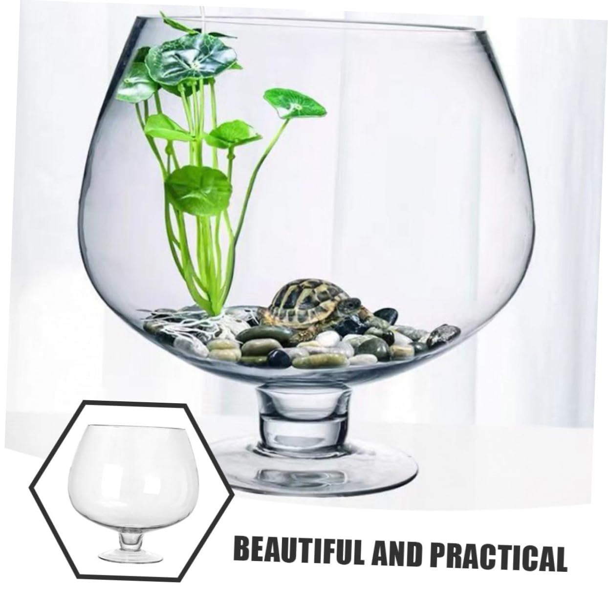 Garneck Aquarium Verre pour Poissons Betta Aquarium Transparent pour Poissons Rouges