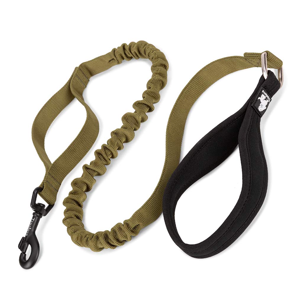 Truelove Dog Trainning Lead Elastic Nylon Leash, Soft and Comfortable Handle with Extra Traffic Control Handle and Durable Hook for Running and Walking(Army Green,S)