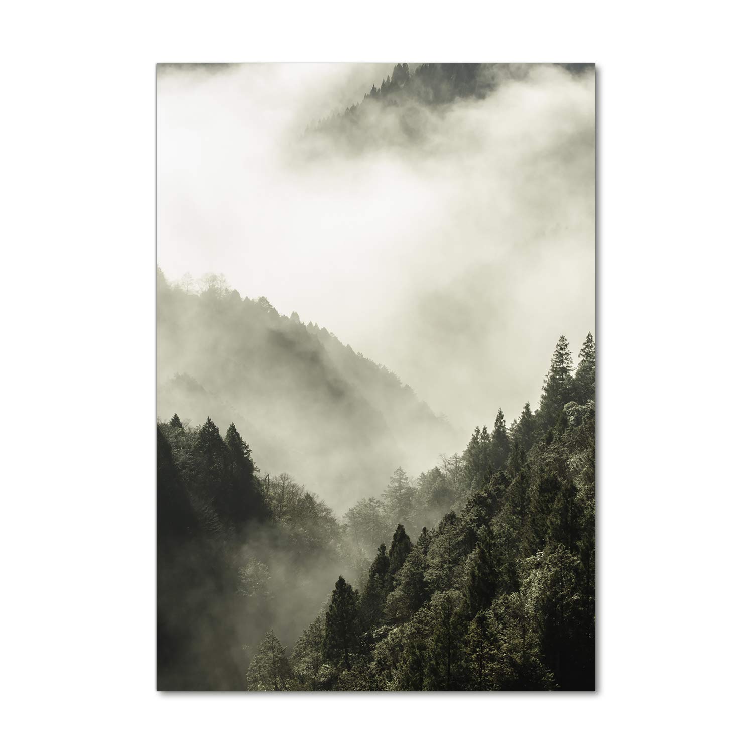 Tableau photo décorative 60x120 en noir et blanc - Décoration murale paysage de forêt