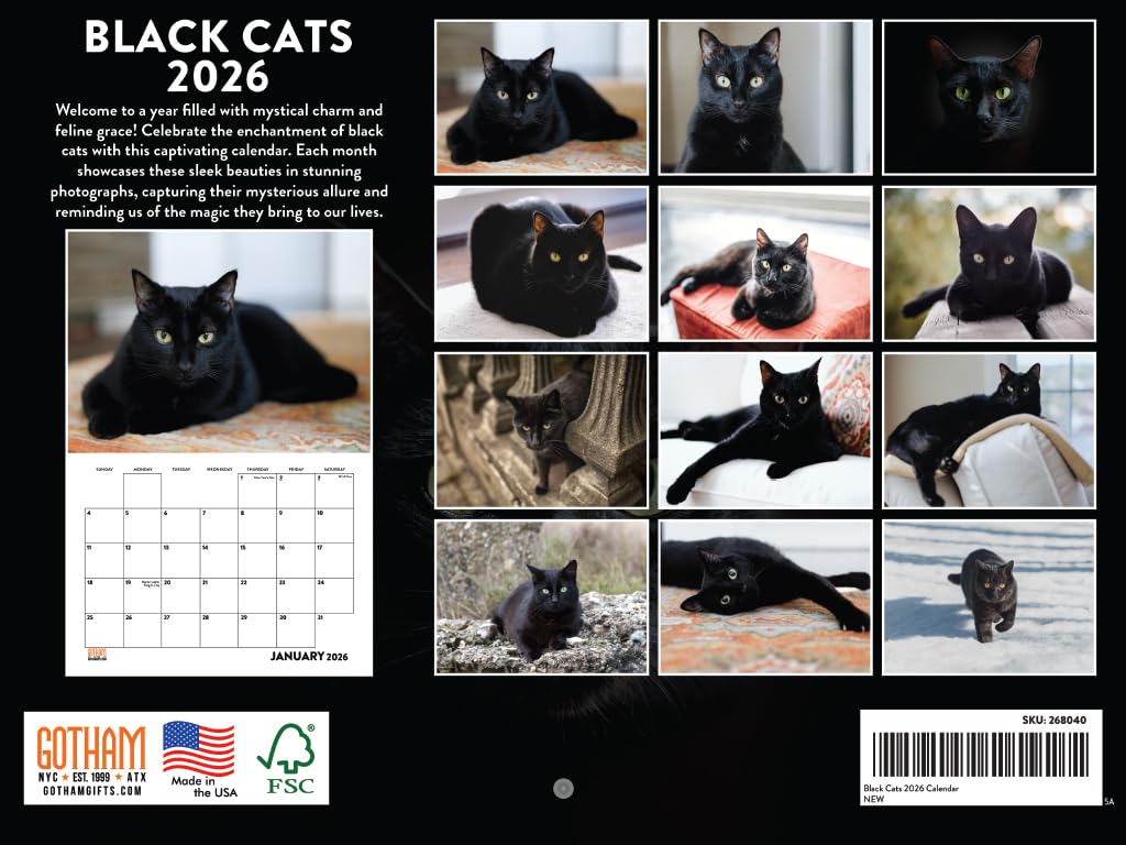 じゃれねこ『2月☆65 ブラックベリー』 Amazon.co.jp: 黒猫カレンダー 2026年 黒猫 マンスリー ウォール