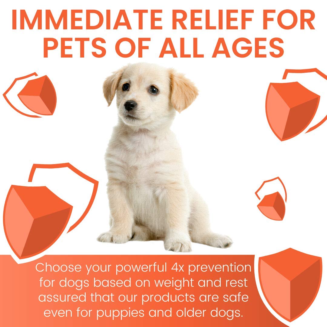 shieldtec flea and tick spray