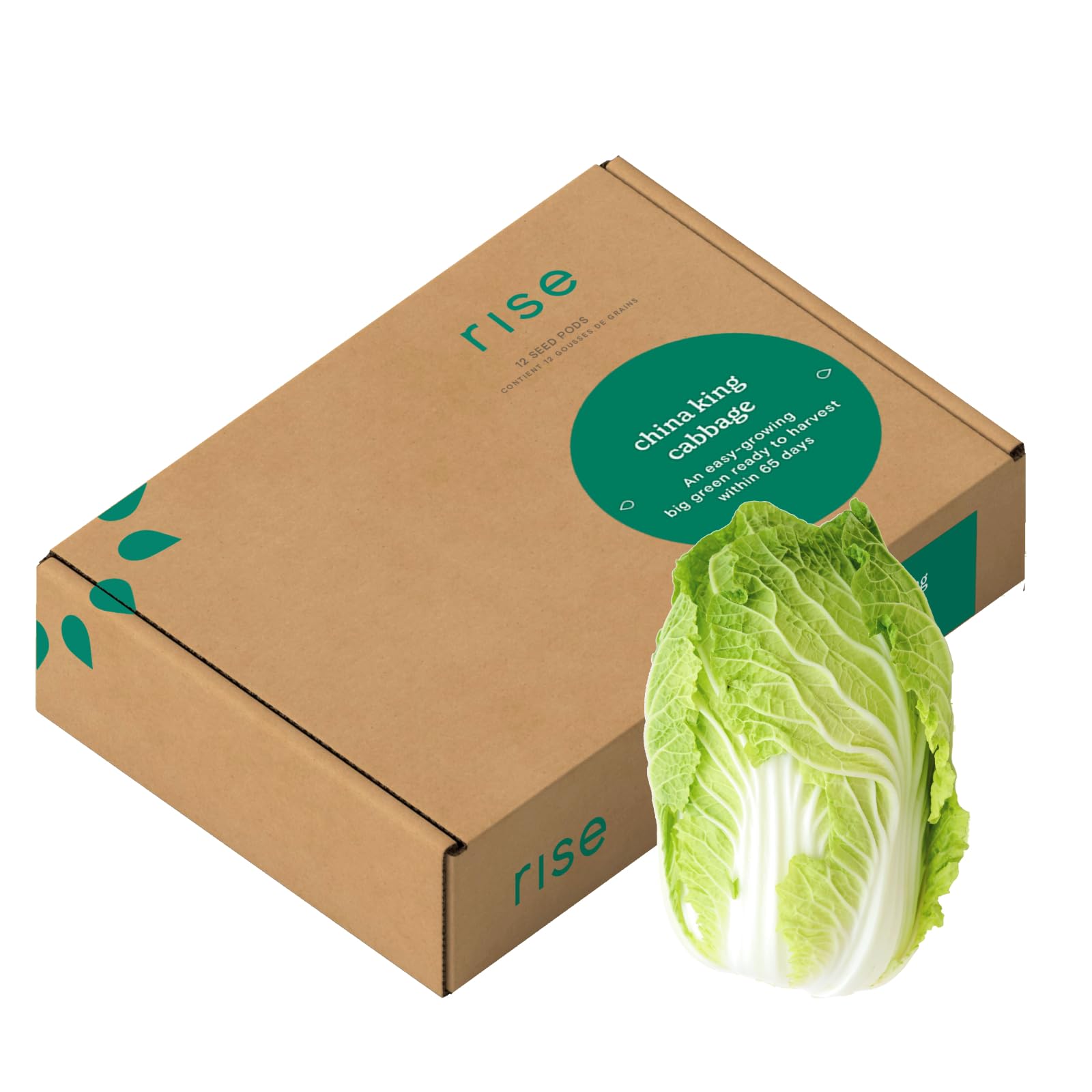 Rise GardensChina King Cabbage, RG100129