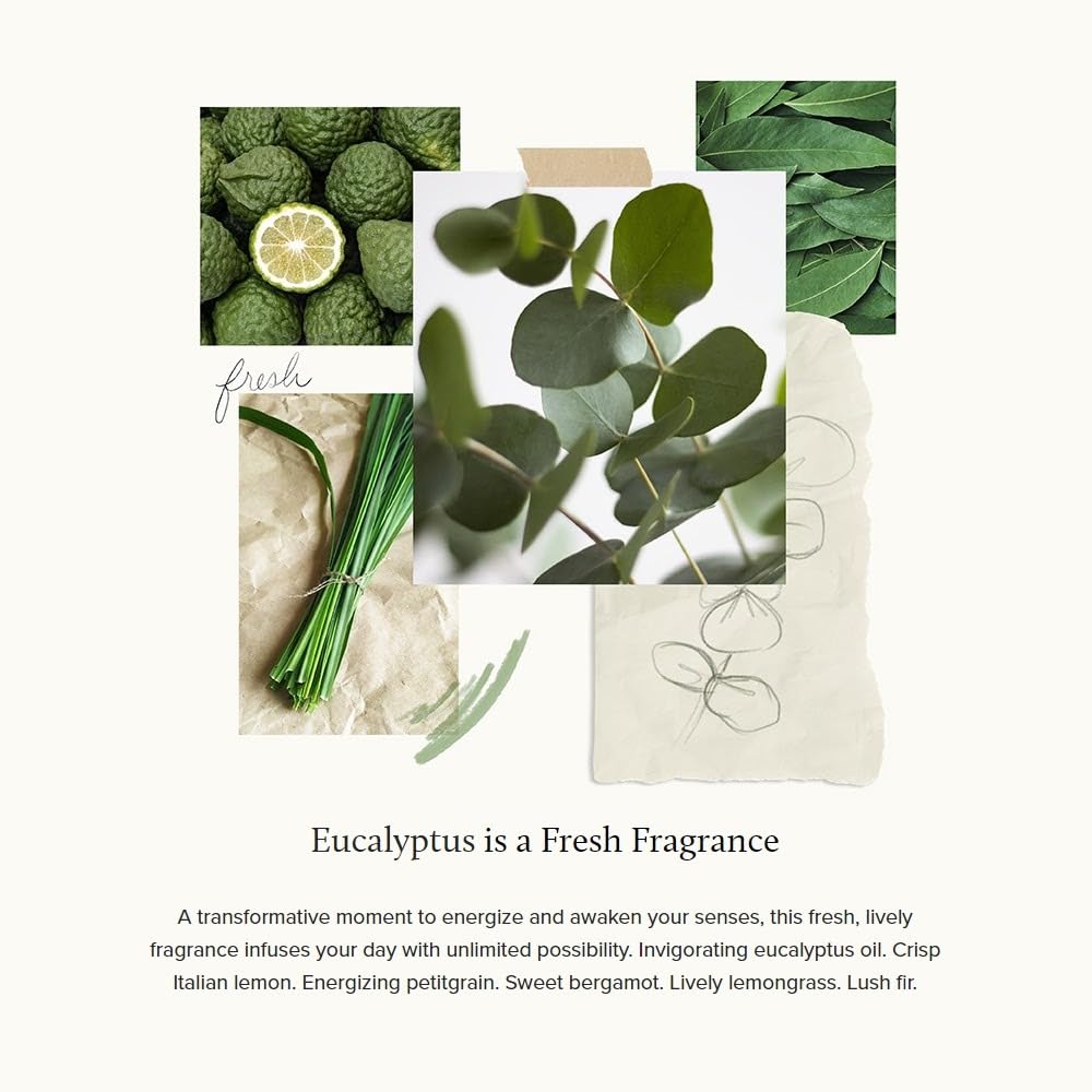 Thymes Eucalyptus Bar Soap - 6 Oz (Pack of 2)