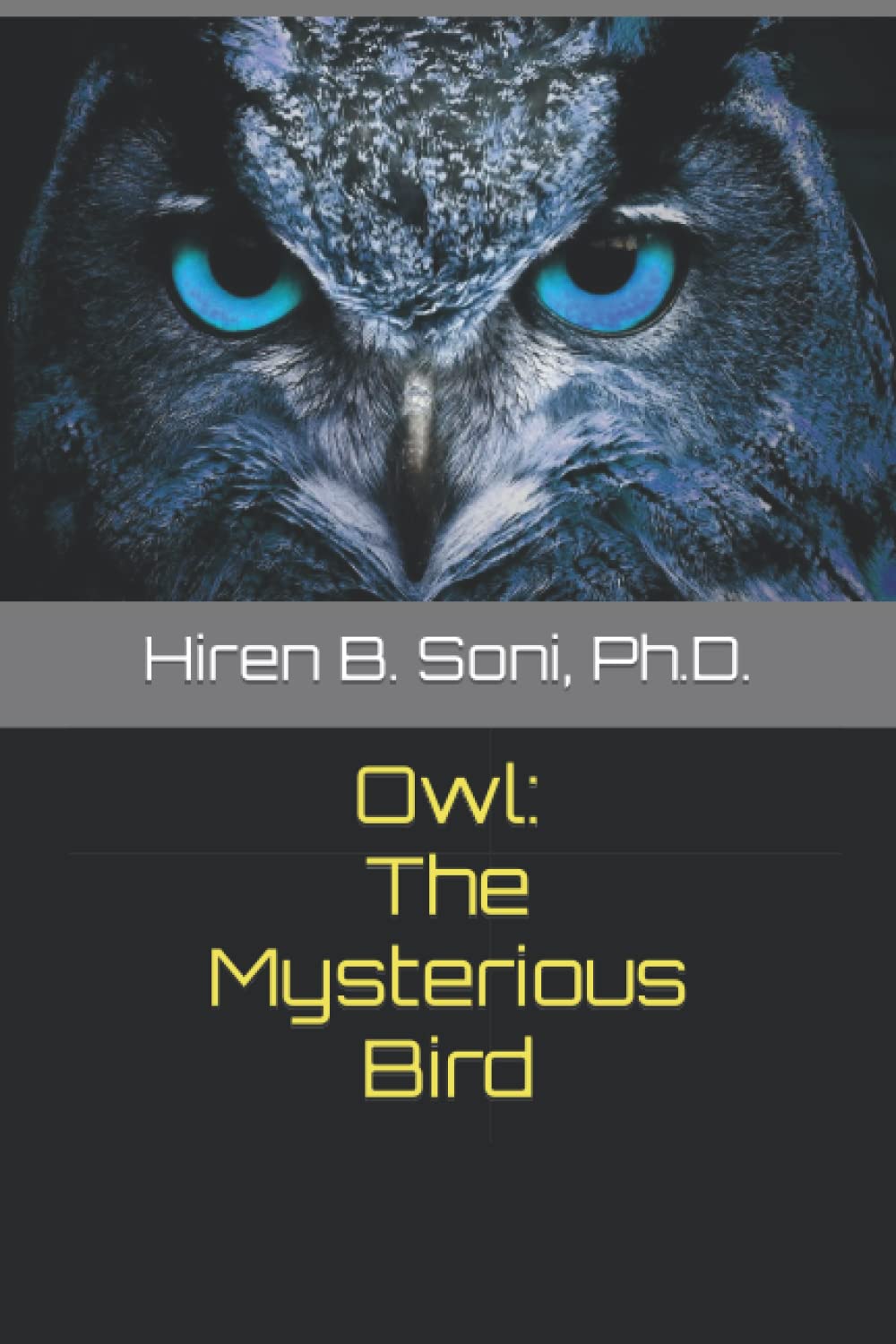 Owl: The Mysterious Bird