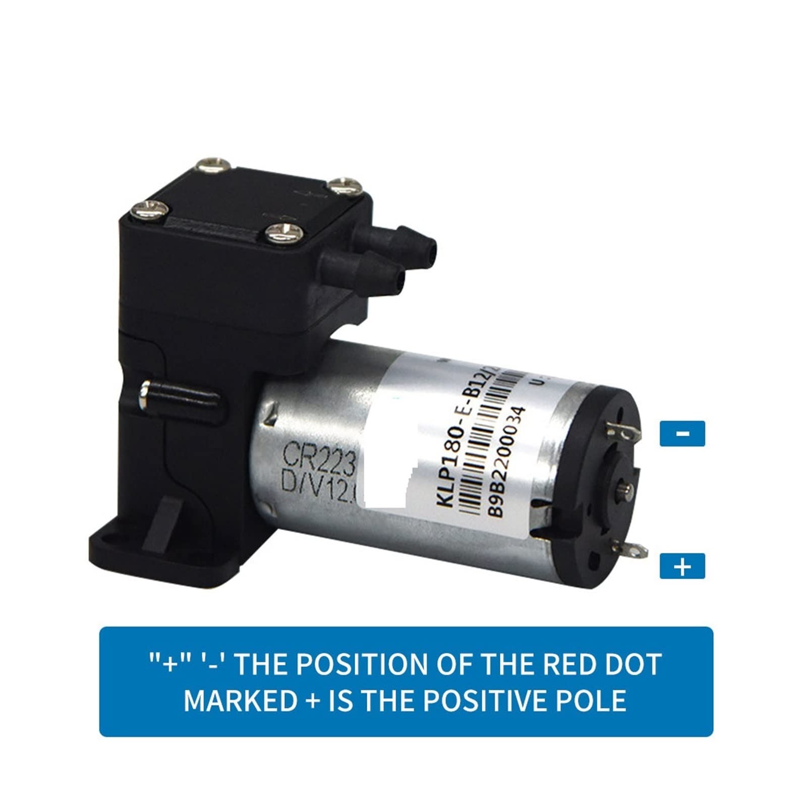 12V / 24V Mini-Membranpumpe Flüssigkeitstransfer GeräuscharmKleine Größe Geringer Stromverbrauch(Dc24)
