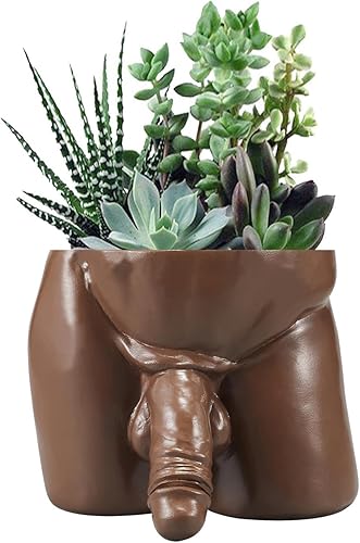Macetero para el pene, maceta de resina, jarrón con forma de cuerpo, macetas únicas y divertidas, macetas de arte de pene para plantas de interior,