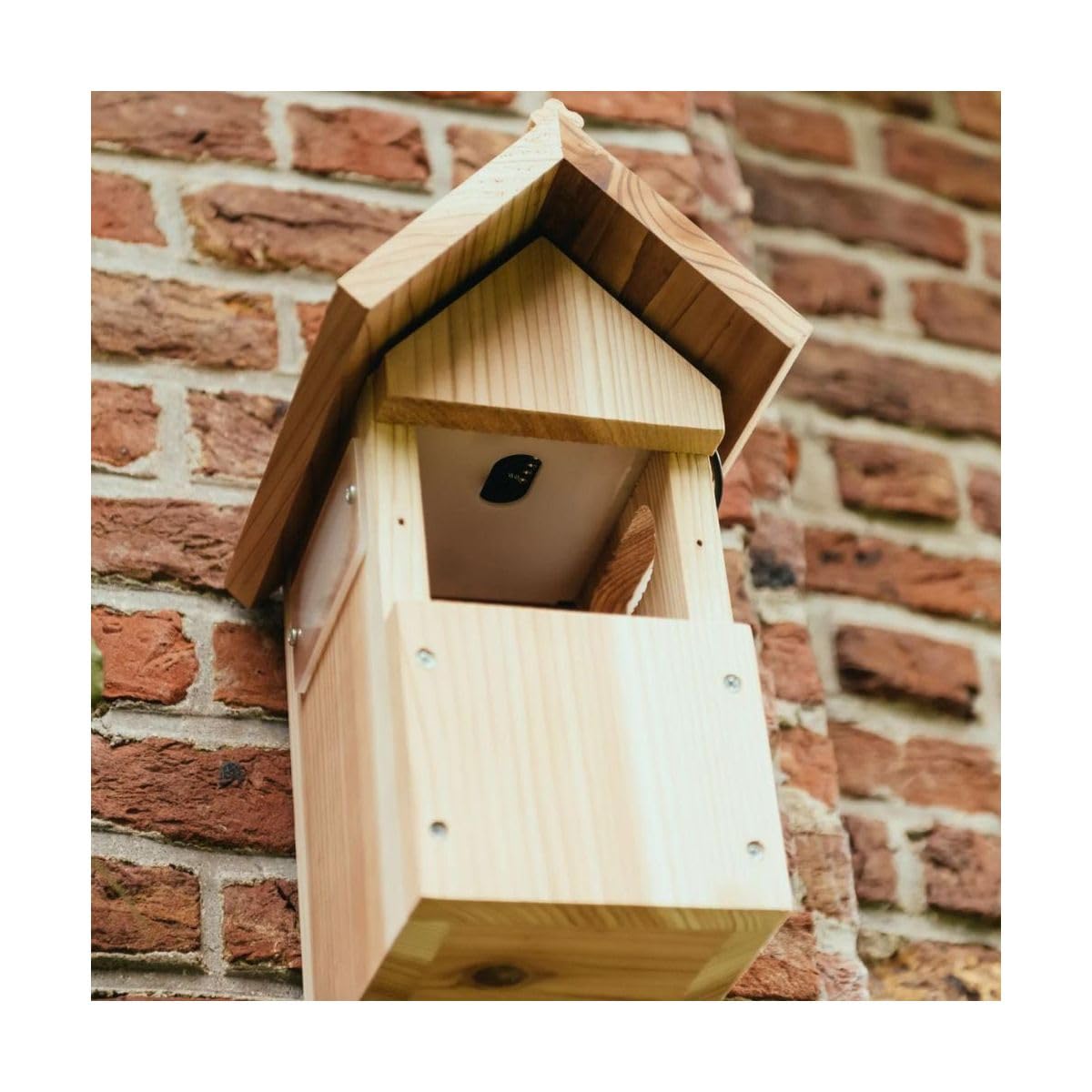 NESTERA Nistkasten mit Kamera - 1440p HD WiFi Outdoor | für Meisen, Rotkehlchen und Spatzen | Baum, Zaun oder Haus befestigt