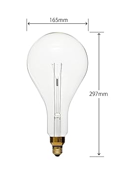 Amazon | 舶用電球 インテリア用電球 大型白熱電球タイプ 60W