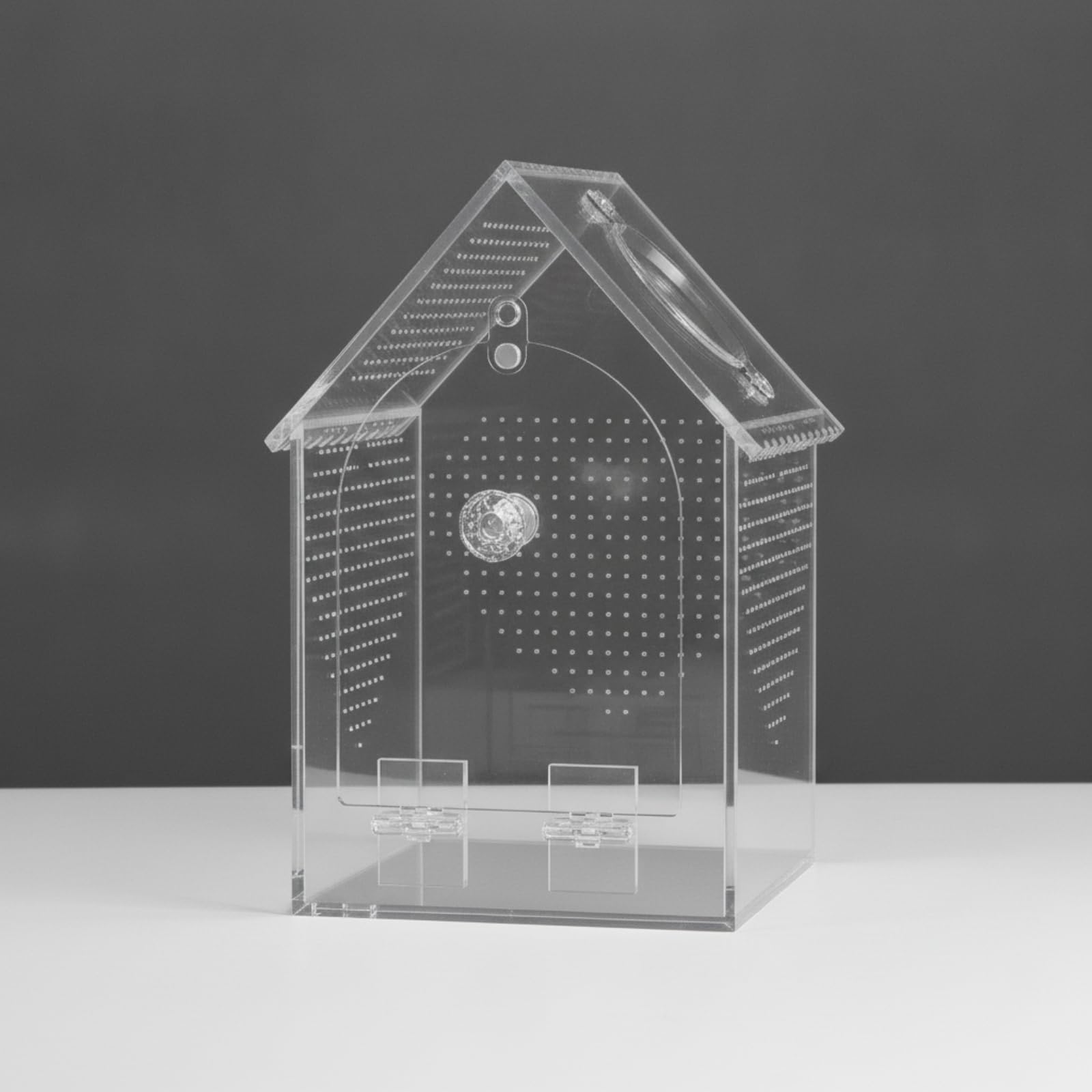 Terrario Acrílico para Reptiles Caja Hábitat Vivario Transparente con Diseño de Techo a Puerta Delantera y Orificio de Comida Base Rígida para, 5.7x5.7x9 Pulgadas