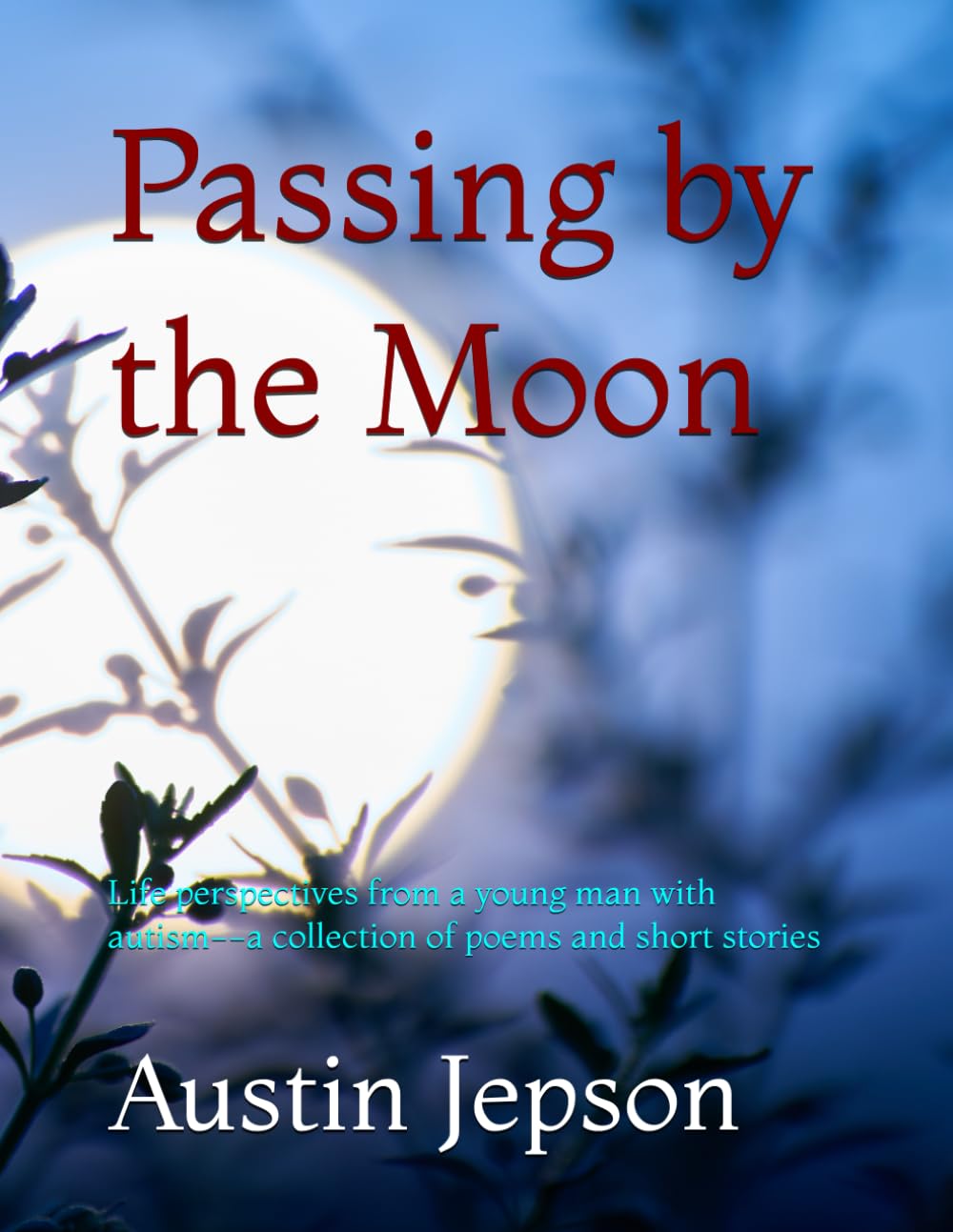 Passing by the Moon: Life perspectives from a young man with autism--a collection of poems and short stories