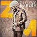 Ziggy Marley