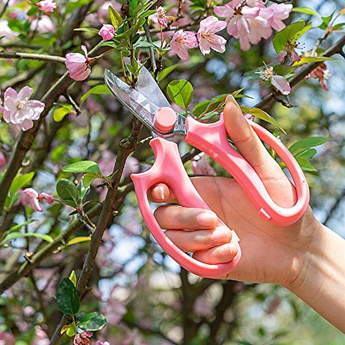 Szczepienie w ogrodzie Narzędzia do bonsai Nożyce do przycinania drzew owocowych Nożyce do kwiatów Nożyce ogrodowe Sekatory ogrodnicze Łatwe sekatory
