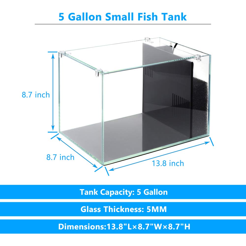 Mua bể cá 5 gallon giá rẻ Bấm vào đây để biết thêm chi tiết!