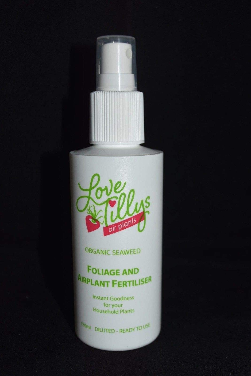 Tillandsia Air Usine d'engrais 150ml Vaporisateur Traitement Alimentaire Amour Tillys