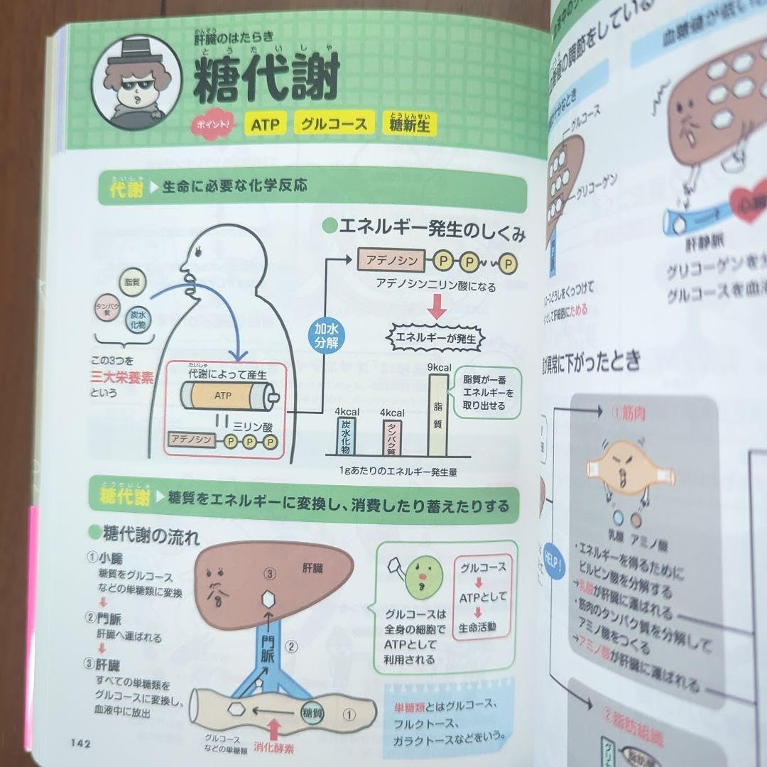 Amazon.co.jp: 疾患とつながる解剖生理図鑑 : 産業・研究開発用品