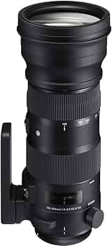 Amazon.co.jp: SIGMA 150-600mm F5-6.3 DG OS HSM | Sports S014