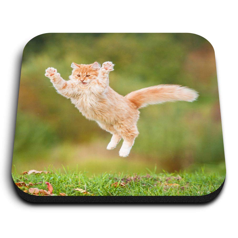 1 x Square MDF Fridge Magnet - Jumping Ginger Cat Kitten 2601