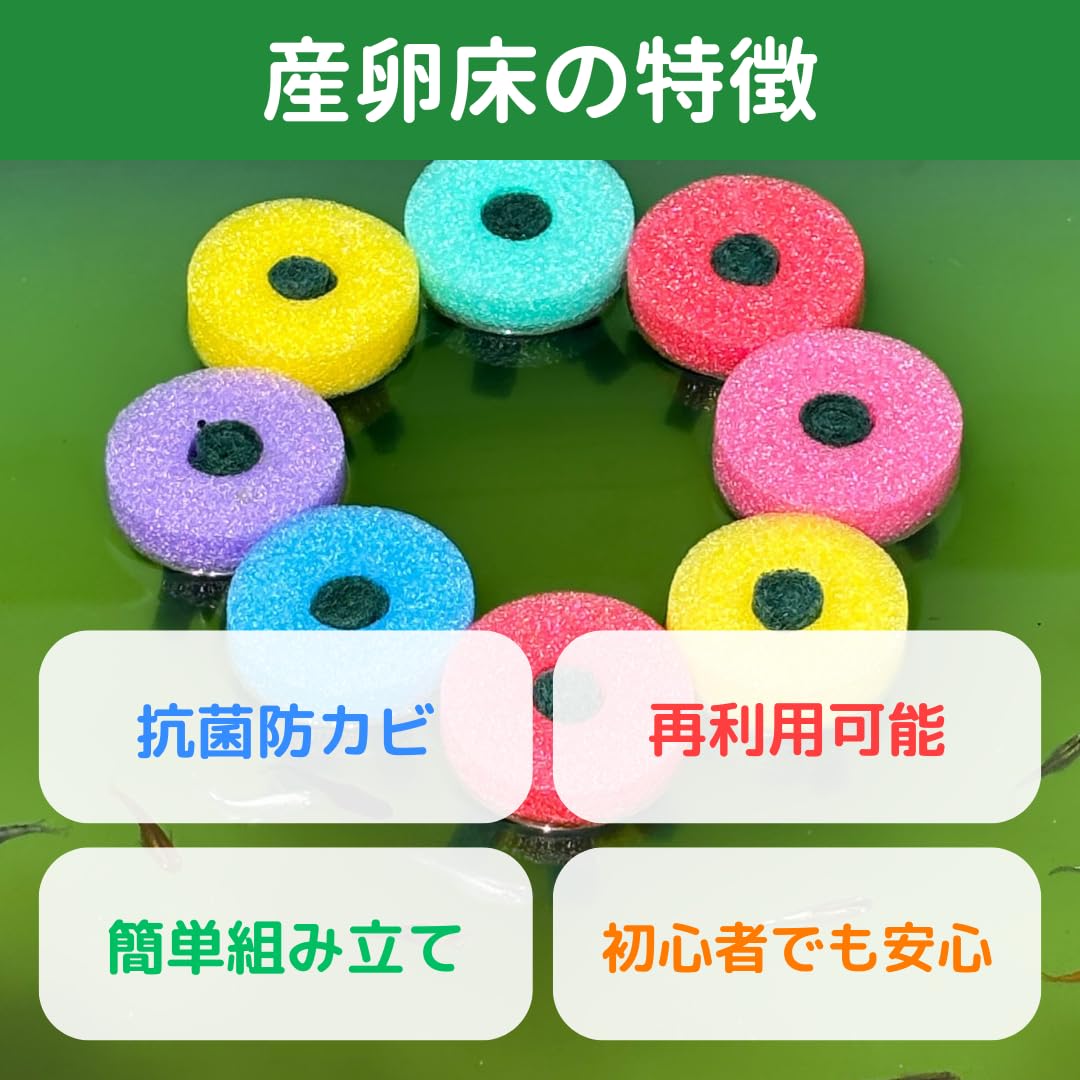 Amazon | おひさまめだか メダカ産卵床 8個入り 6色セット 研磨剤不