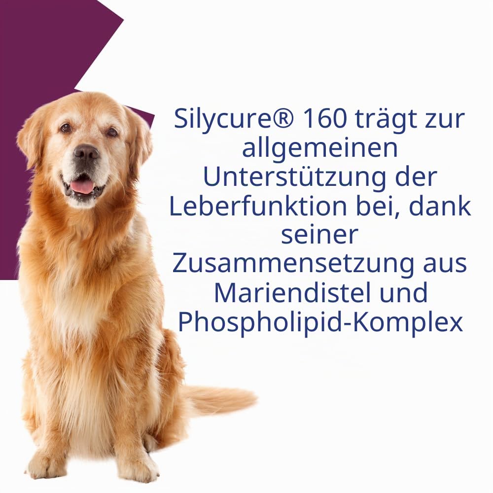 ANIDEV Silycure 160 – Ergänzungsfuttermittel zur Unterstützung der Leberfunktion für Hunde – Silybin Mariendistel – Appetitliche Tabletten vierfach – 75 Tabletten
