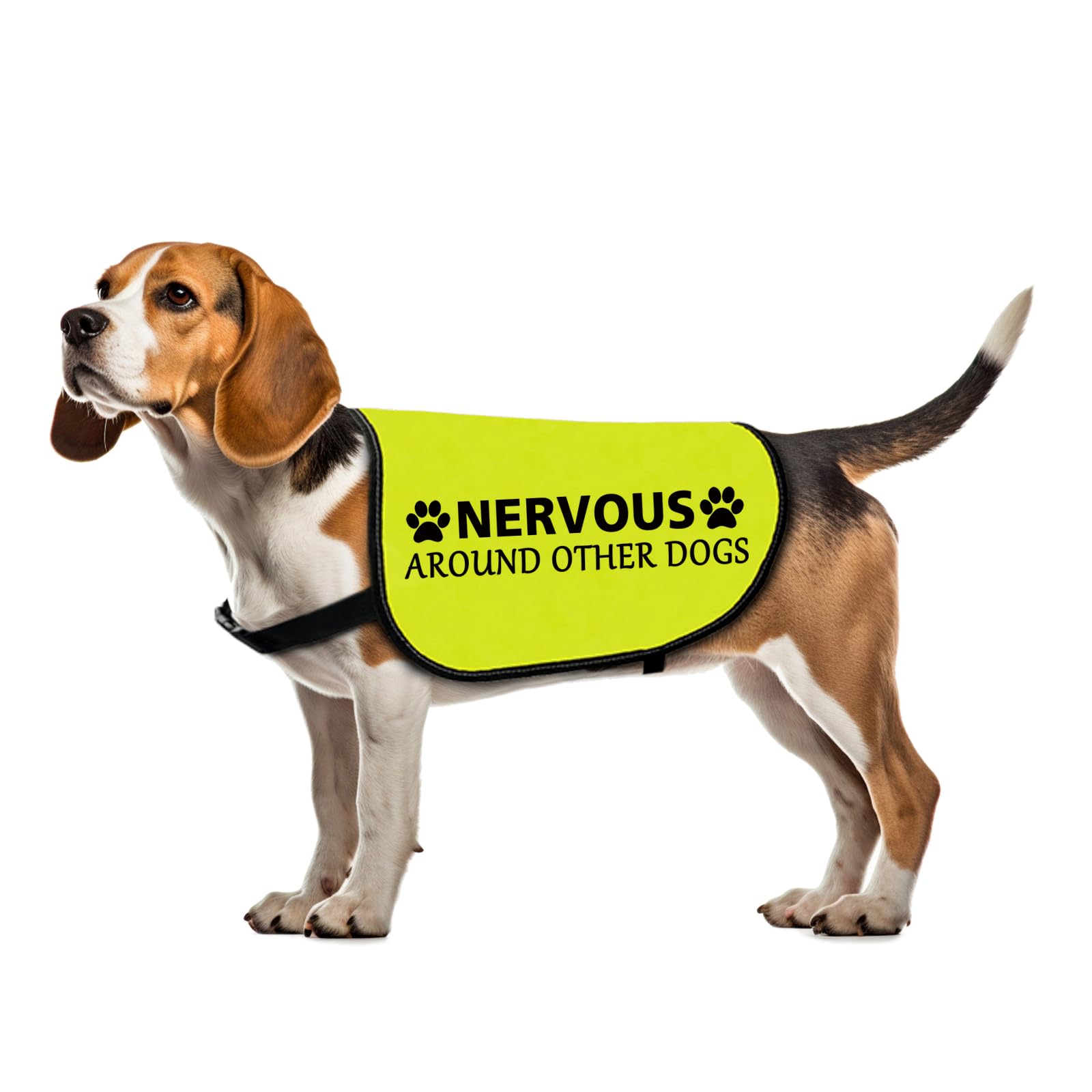 Funny Nervous Dog Jacket Vest Nervous Around Other Dogs Dog Slogan Vest Friendly Dog Gift (Nervous Around-Large)