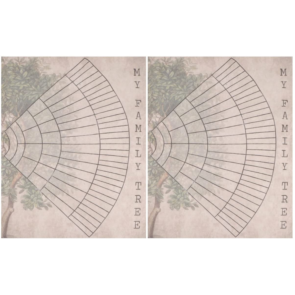 WINOMO Family Tree Chart 2 pieces Family Members Chart Family Tree Chart Blank Fillable Ancestry Chart to Fill in