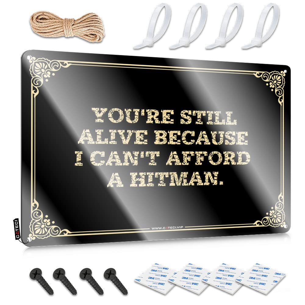 Cool Wall Decor Guys Ready To Hang - You're Still Alive Because I Can't Afford A Hitman. Reusable For Garage(30X40CM)