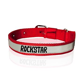 Ruse Pet Rockstar Printed Reflective Nylon Neck Belt Adjustable Dog Collar for Puppy, Small, Big Dogs.