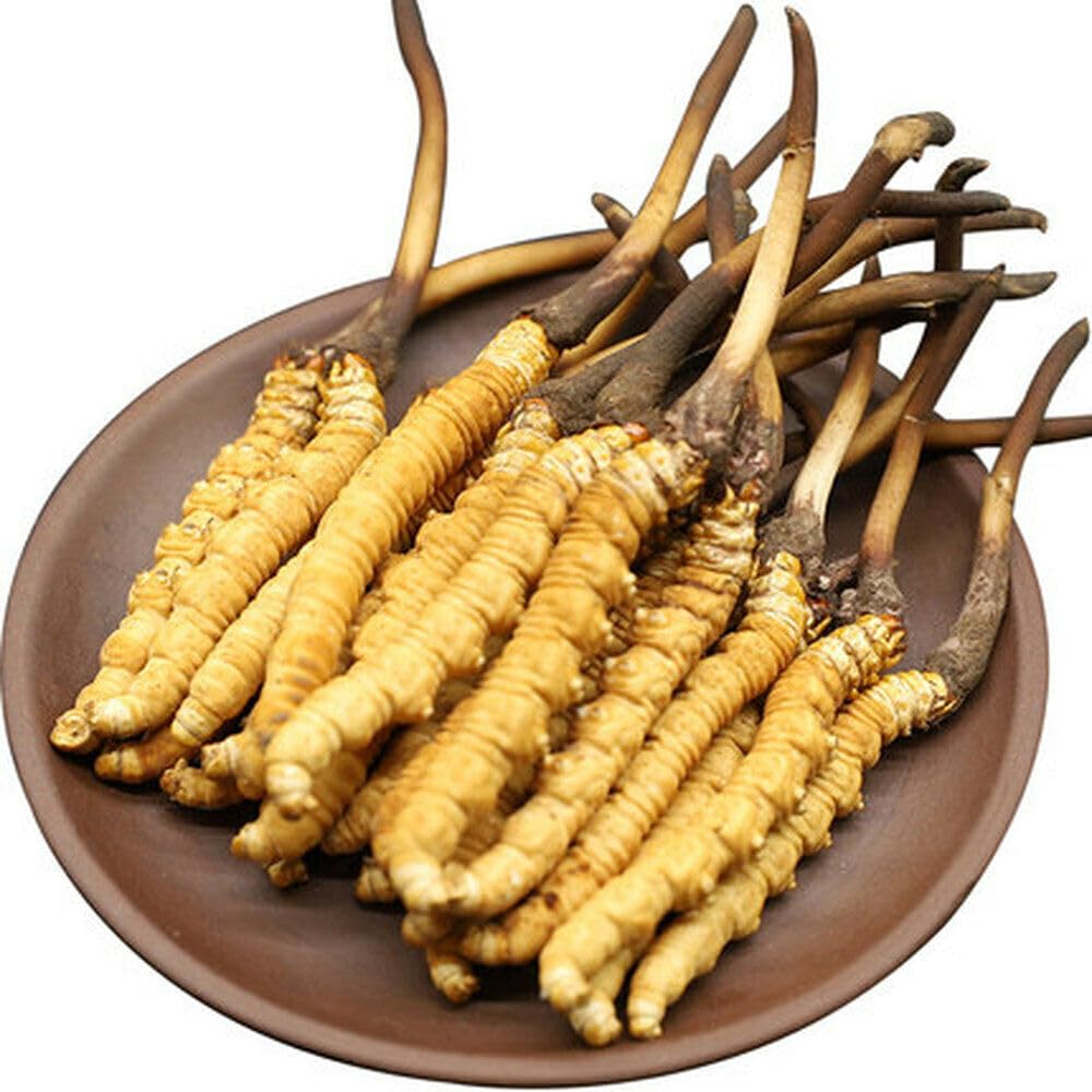 5g China tibet wild cordyceps sinensis aus chinesischem kräutertee frei von zusatzstoffen nährender blüten- und früchtetee aufgebrühter tee loses grünes bio-kraut zum kochen