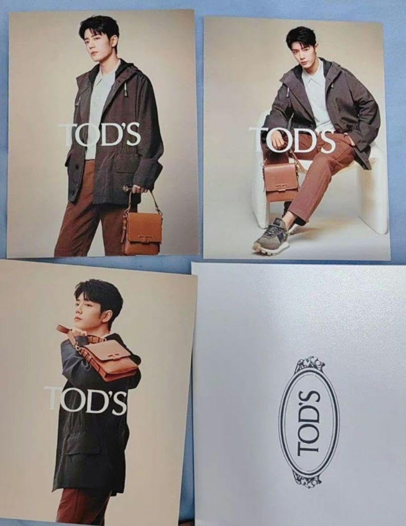 Amazon.co.jp: 肖戦 シャオジャン 最新作 TOD'Sカード T4 : パソコン