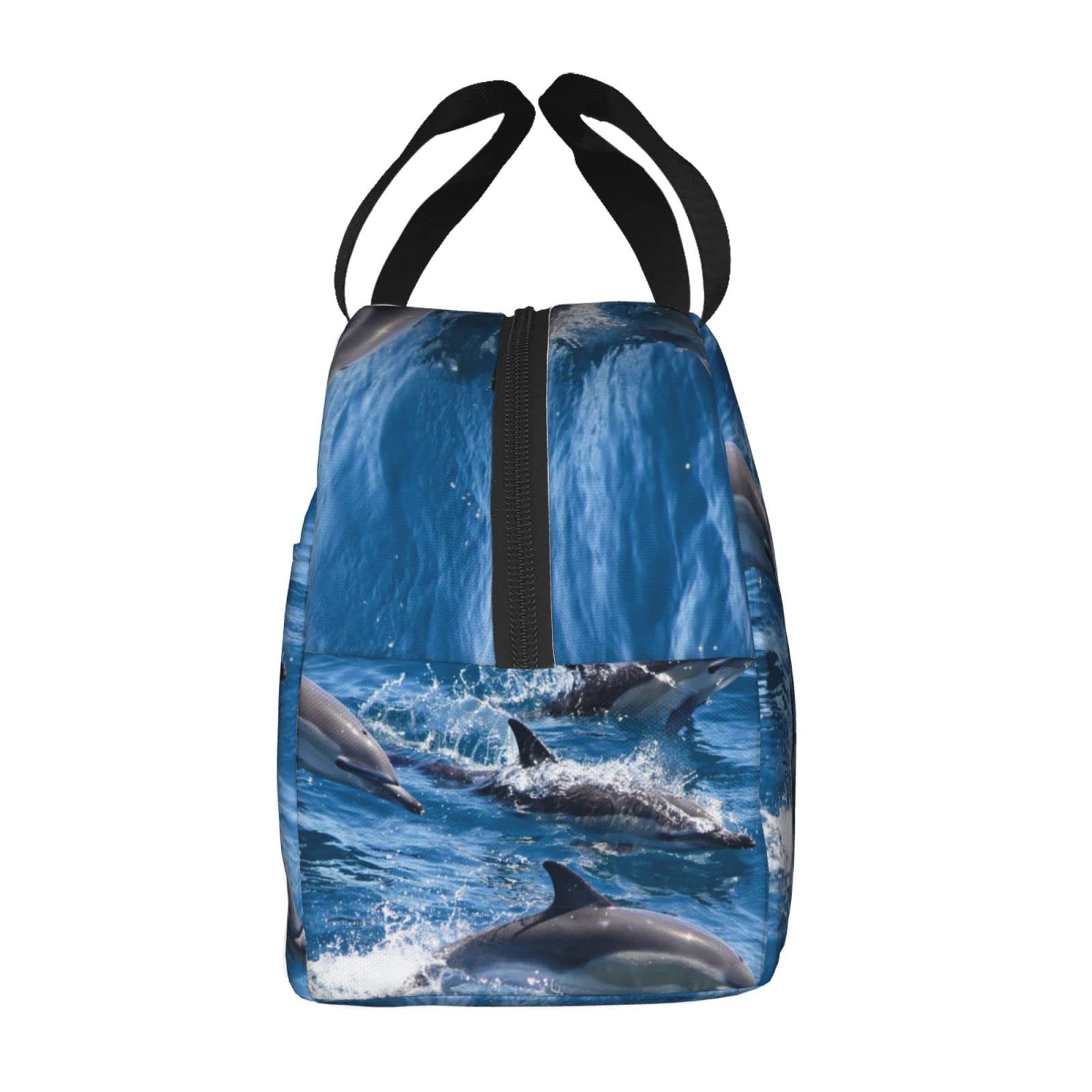 KOBLEN Delfin-Lunch-Tasche – Isoliert, 24,9x17x22,6 Cm, Mit Vordertasche, Wasserdicht, Für Arbeit & Picknick
