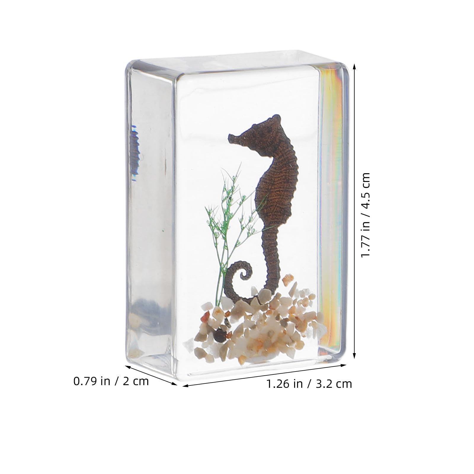 Adorainbow 6 Stück Insektenpräparat aus Kunstharz als Briefbeschwerer und Sammlerstück mit Elegantem Design für Wohn und Arbeitsbereich