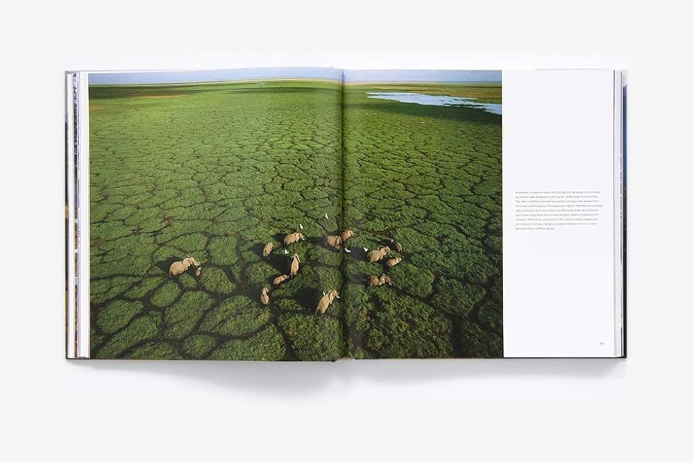 洋書 World Prehistory and the Anthropocene World Prehistory and The Anthropocene Joy McCorriston &amp