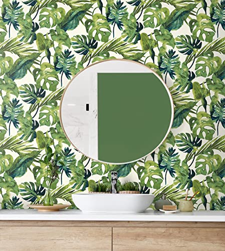 Image of Tommy Bahama - Peel and Stick Wallpaper, Tropical Wallpaper for Bedroom, Powder Room, Kitchen, Vinyl, 30.75 Sq Ft Coverage (Falling Fronds Collection, Aloe)