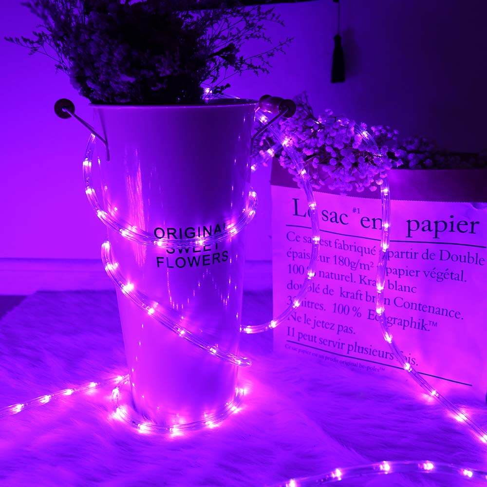 Snapklik.com : HuiZhen 100 Feet 720 LED Rope Lights,2-Wire Low Voltage ...