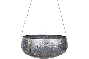 Creative Co-Op Grey & Gold Hanging Iron Planter