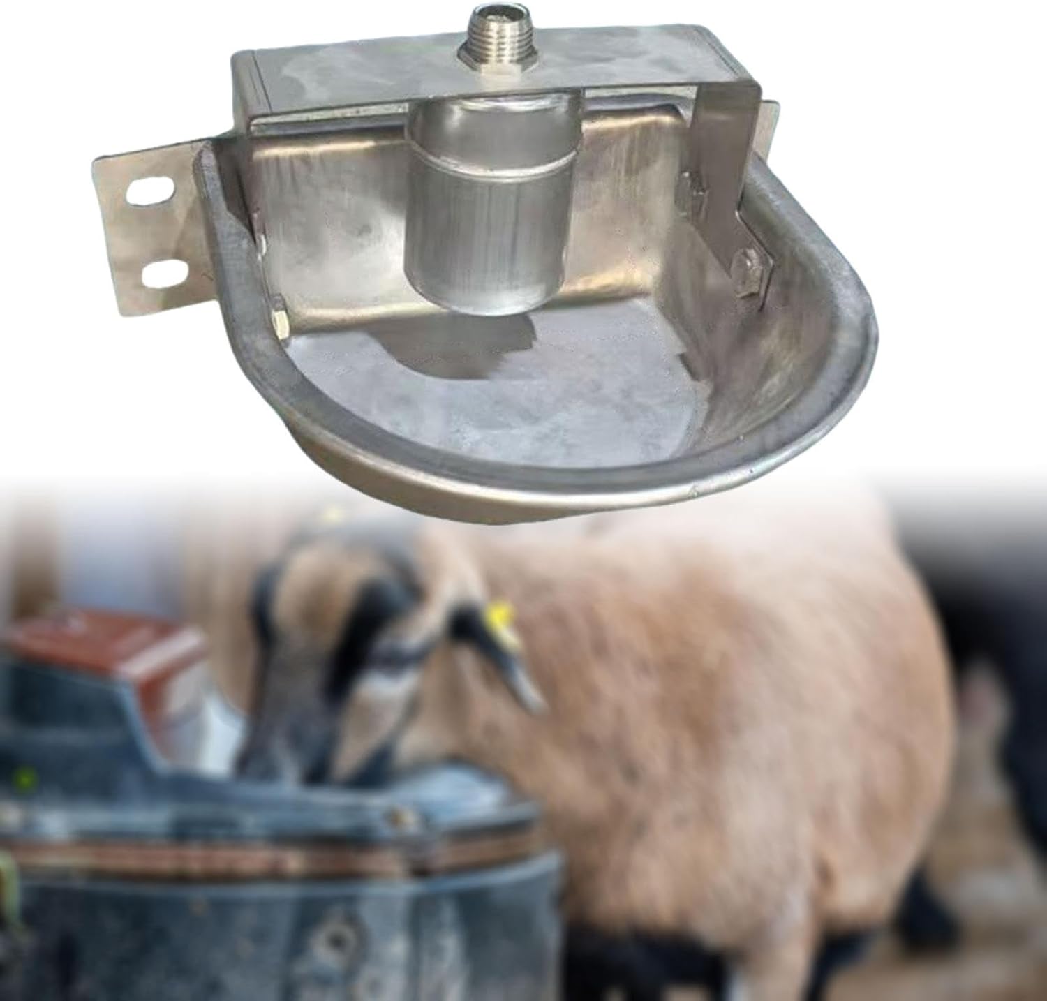 Automatic Livestock Water Bowl Drinking Bowl Easy to Use Stainless Steel Easy to