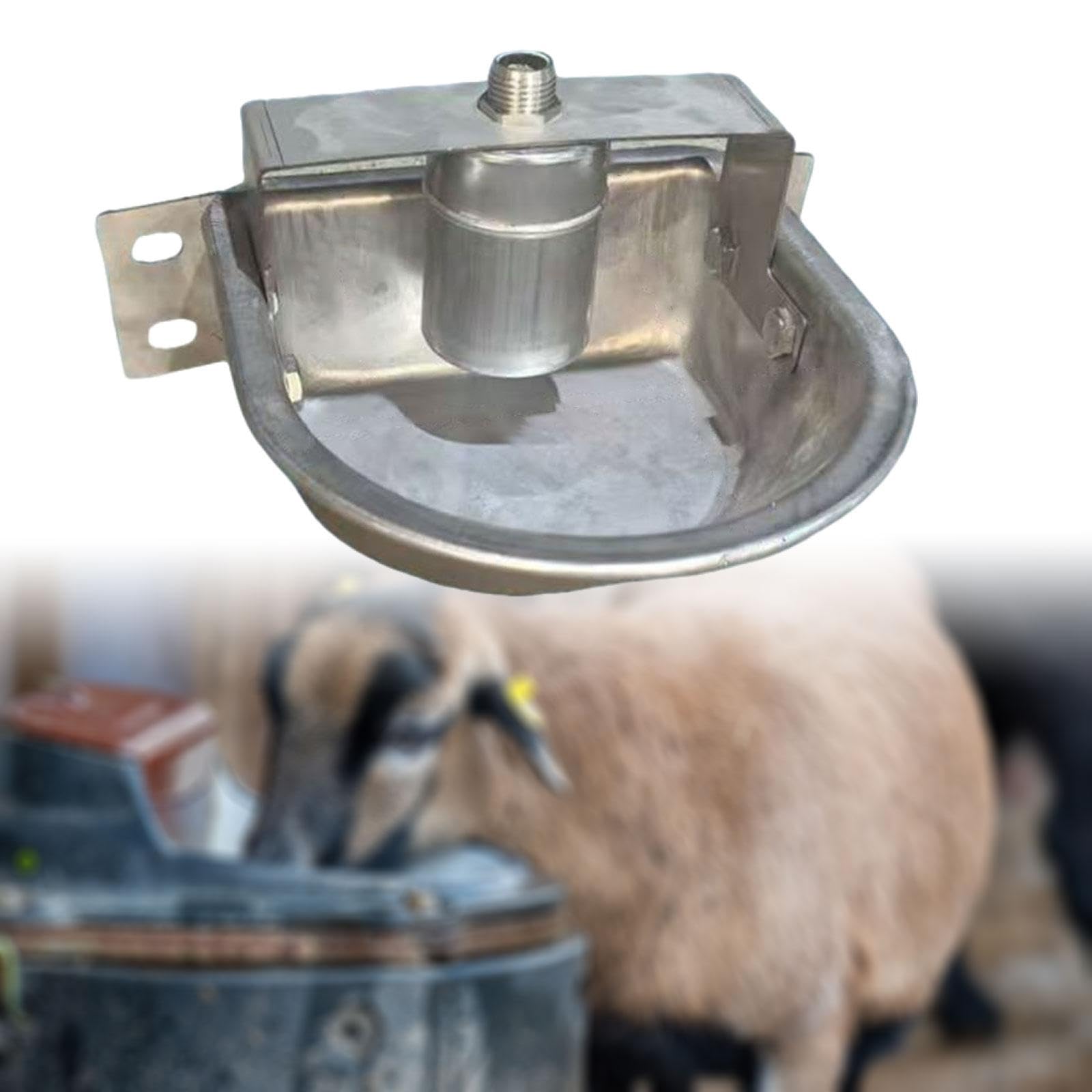 Qianly Abbeveratoio Automatico Multiuso per Bovini, Capre E Animali da Fattoria
