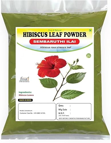ST Hibiscus Leaf Powder 100g  Sembaruthi Leaf Powder  Hibiscus rosa sinensis Leaf