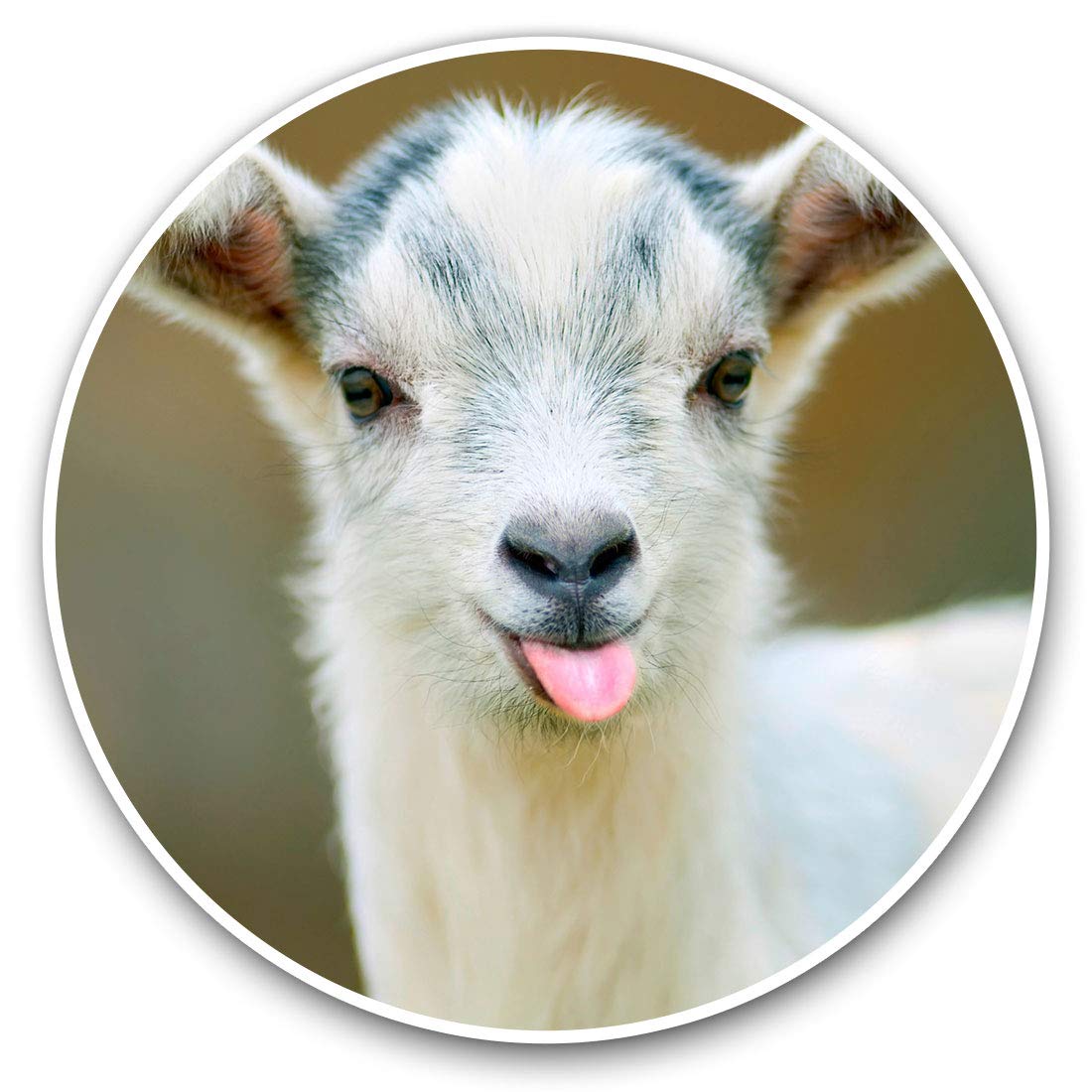 Destination Vinyl Ltd Baby Goat Animals Pets Farm 3670 Vinyl Stickers (Set Of 2) 15Cm - Baby Goat Animals Pets Farm Laptop Tablet Luggage Scrapbook #3670