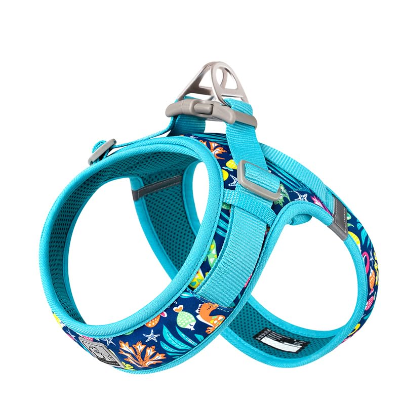 WINHYEPET Truelove Dog Harness Soft Mesh Reflective Breathable Step-In Dog Harness,Easy Adjustment Harness with Safety Buckle for Extra Small and Small Dogs Vest Harness TLH3013(Blue Atoll,M)
