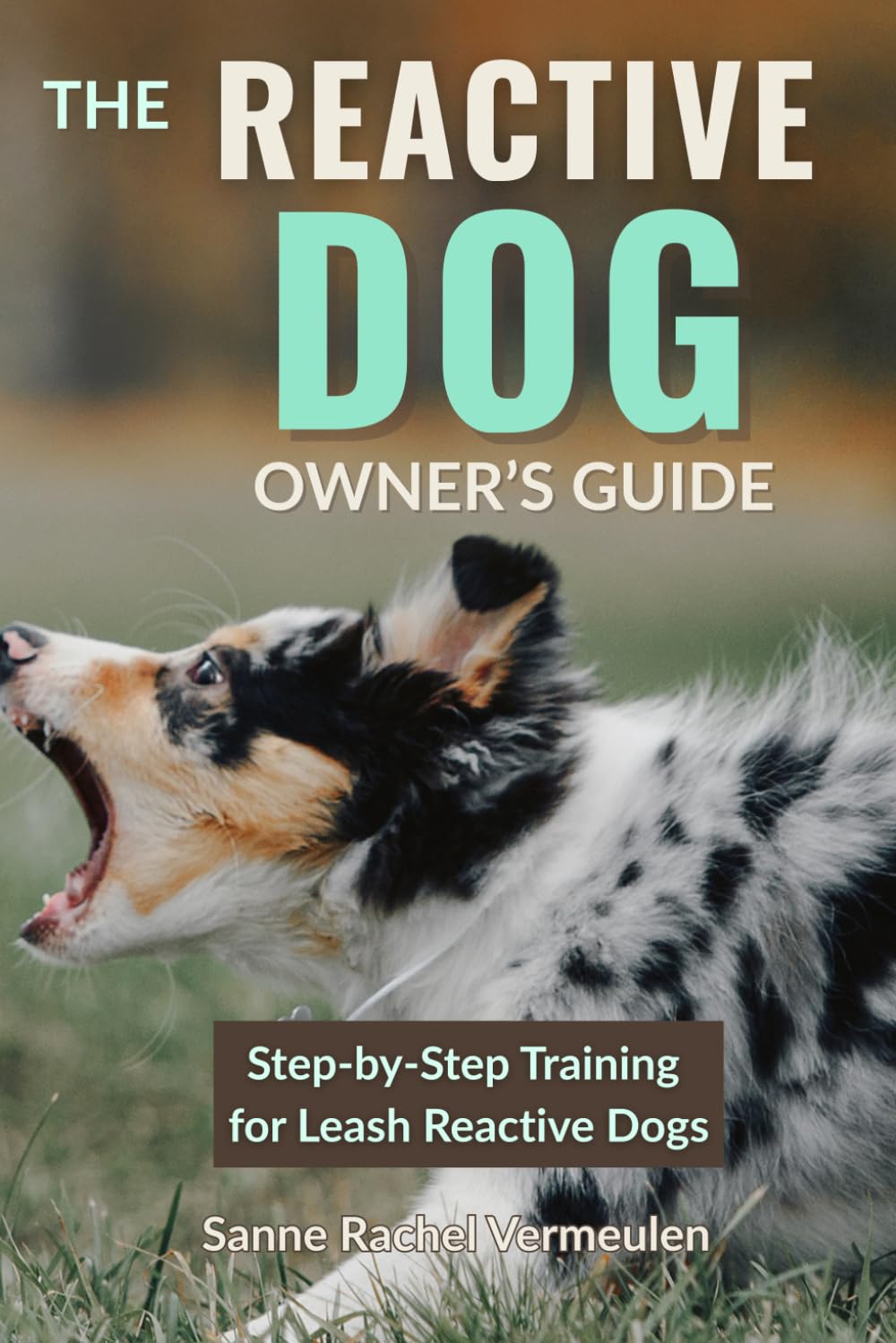 The reactive dog owner’s guide: Step-by-Step training for leash-reactive dogs