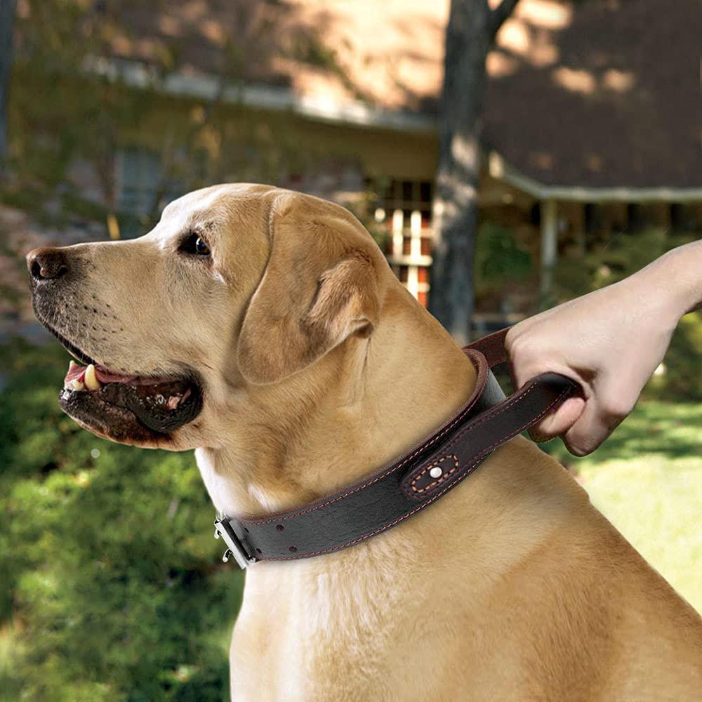 PET ARTIST Collar de perro de cuero genuino con asa resistente para perros medianos y grandes y entrenadores Boxer Doberman Pitbull Bulldog