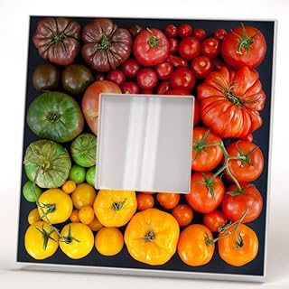 Vegetable Art Tomatoes Ripeness Wall Framed Mirror with Decor Printed Home Room Gift Design Kitchen