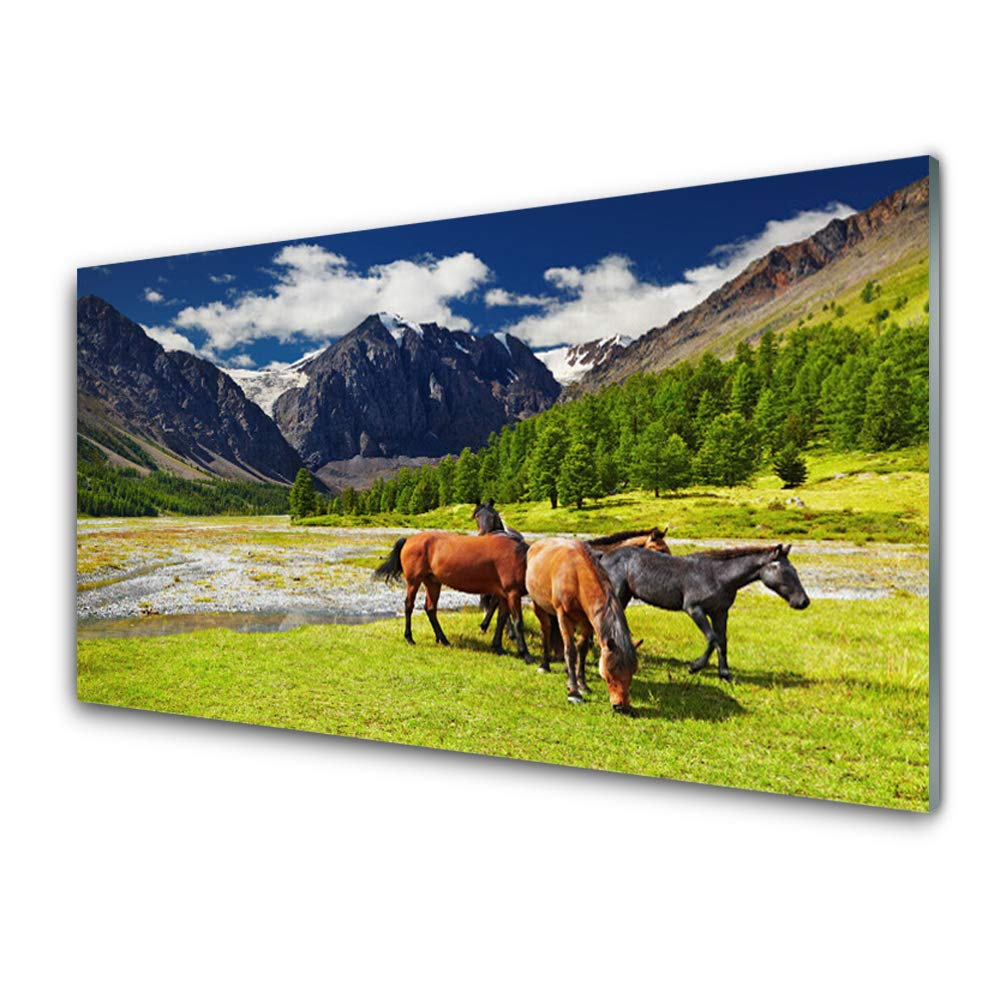 Impression sur verre 100x50cm nature et chevaux pour déco de salon